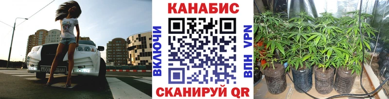 Бошки марихуана SATIVA & INDICA  где можно купить   Белоозёрский 
